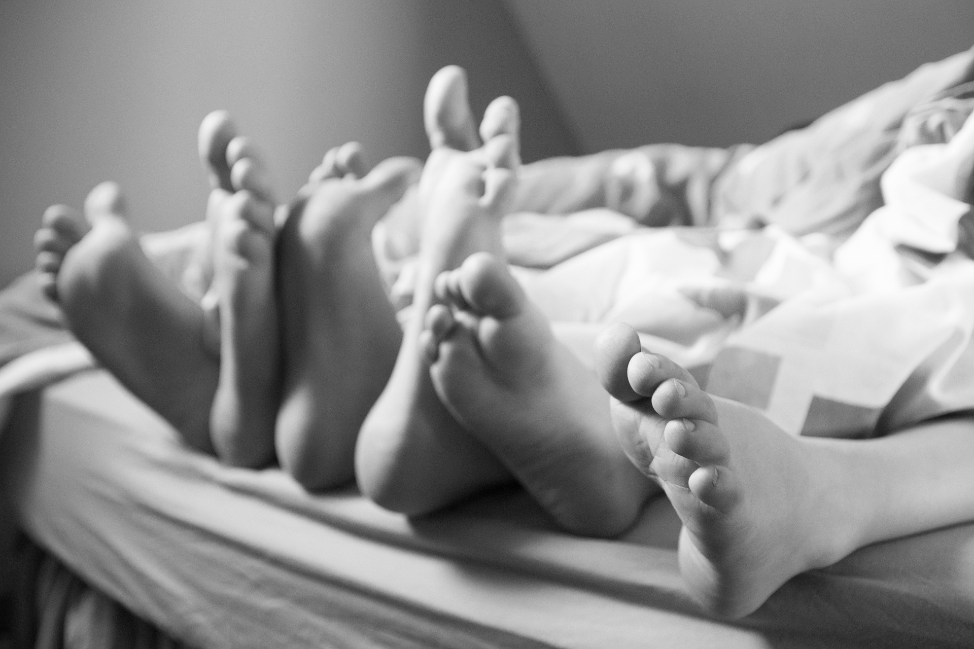 L' Oeil Noir Photographie